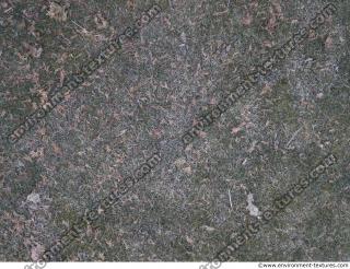 Photo Textures of Ground Grass Frozen